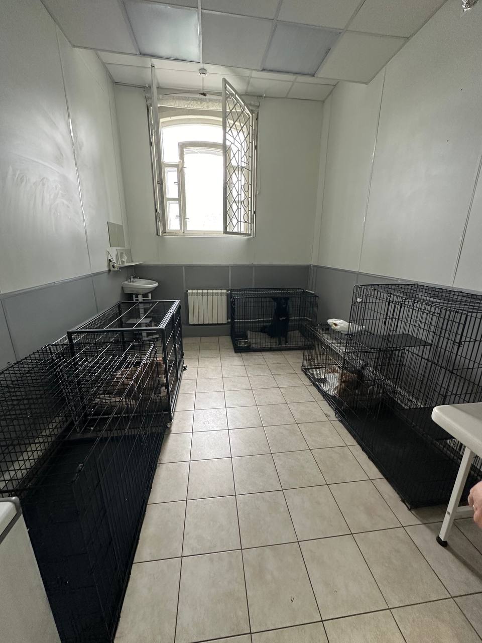 Image 5